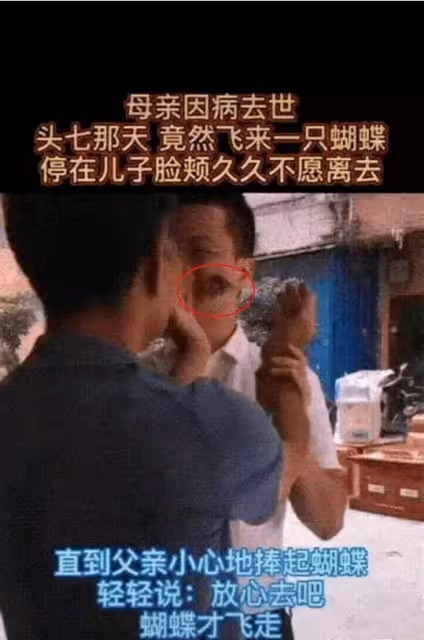 母親因病離開,頭七「飛來一隻胡蝶」停落臉頰不離去,父輕念「放心去吧」兒子痛哭:媽回來看我們了