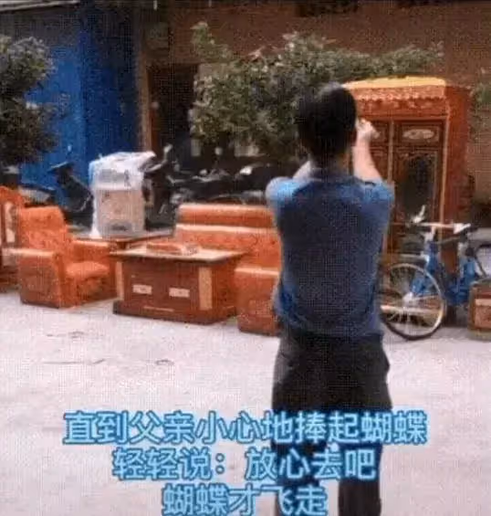 母親因病離開,頭七「飛來一隻胡蝶」停落臉頰不離去,父輕念「放心去吧」兒子痛哭:媽回來看我們了