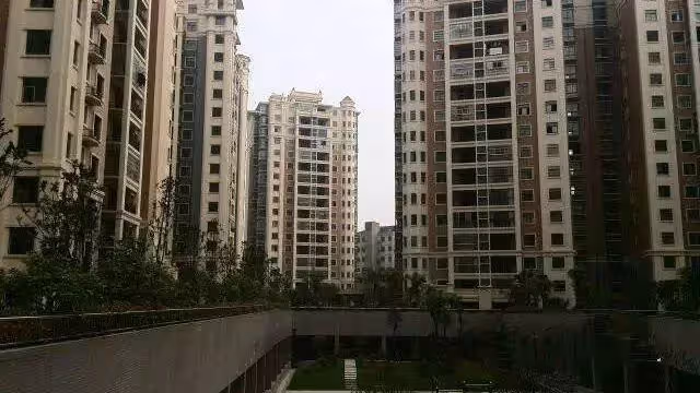「兒媳，我讓你辭職照顧我咋了」「媽，我不想錯過升職機會」