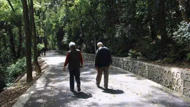 「兒媳，我讓你辭職照顧我咋了」「媽，我不想錯過升職機會」