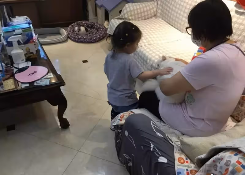 郭碧婷待產爸爸幫帶娃,小奶皇打扮樸素擼貓,側臉肉嘟嘟超可愛