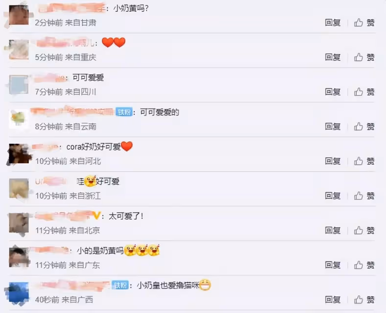 郭碧婷待產爸爸幫帶娃,小奶皇打扮樸素擼貓,側臉肉嘟嘟超可愛
