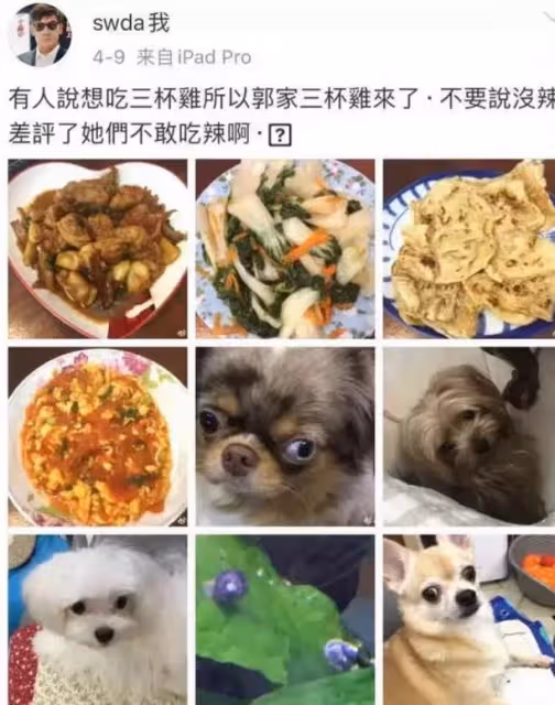 郭碧婷待產爸爸幫帶娃,小奶皇打扮樸素擼貓,側臉肉嘟嘟超可愛