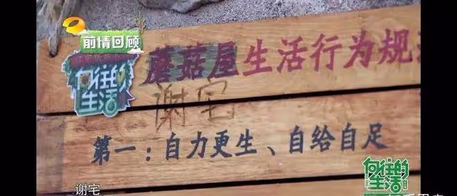 謝娜,「不可一世」終將付出代價