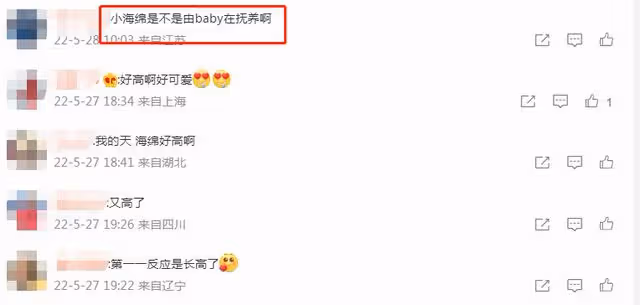 baby懶理前夫戀情風波,帶小海綿逛遊樂園,母子倆穿親子襪太有