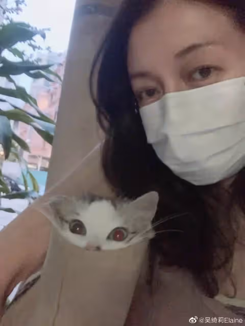 為女兒向成龍要錢?吳綺莉深夜發文:對孩子傷害太大,她是無辜的