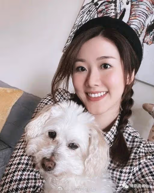 楊明內地隔離減磅成功!鄧佩儀美國開唱網民擔心離巢