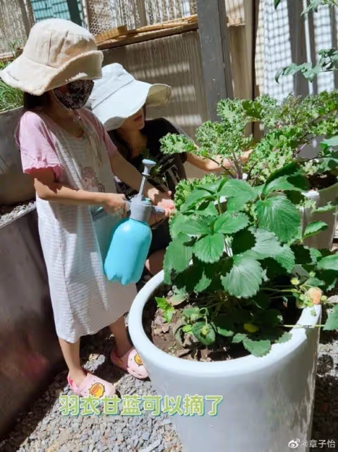 章子怡與孩子種菜樂　素顏+筷子腿網贊逆齡回去18歲