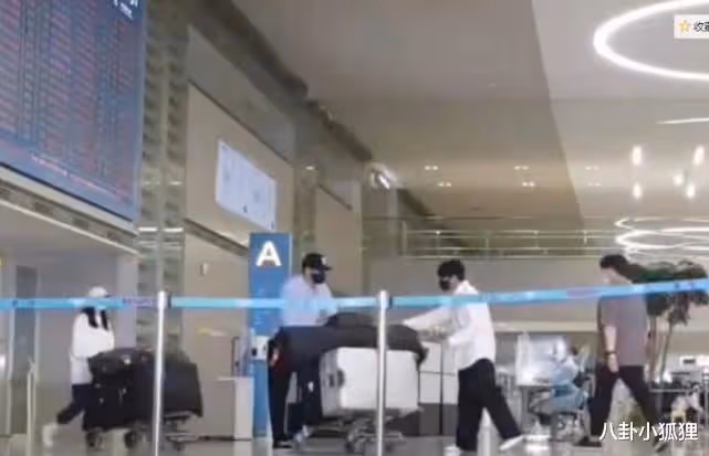 孫藝珍曬遛狗照引發懷孕猜測，經紀公司火速澄清：不是真的