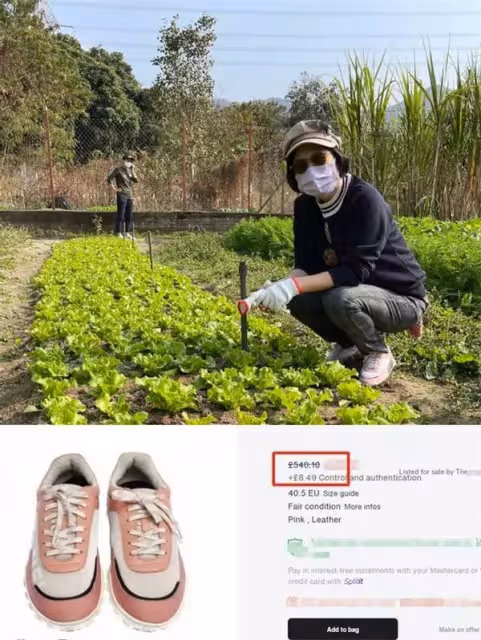 74歲汪明荃近況曝光，一家三口齊出鏡，住4億豪宅穿2萬波鞋親下田拔蘿蔔