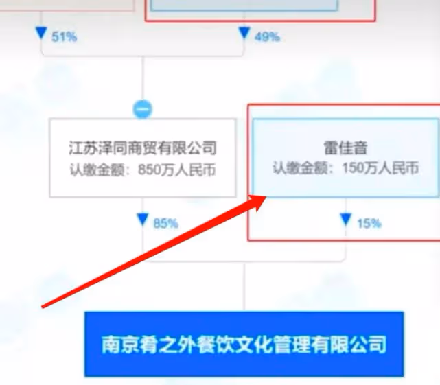 賈乃亮雷佳音被罰,不顧安全給食物摻禁食物品,為賣高價玩太狠!