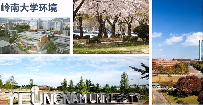 這所大學被稱為皇家大學?還是韓國擁有外籍教授最多的大學!