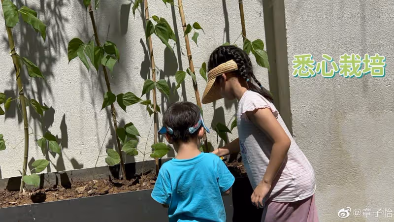 章子怡帶子女種菜　自家菜園大到像公園？