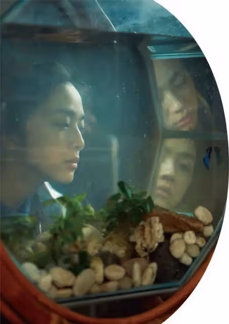 全網都在催她拿影后:娛樂圈,不需要湯唯