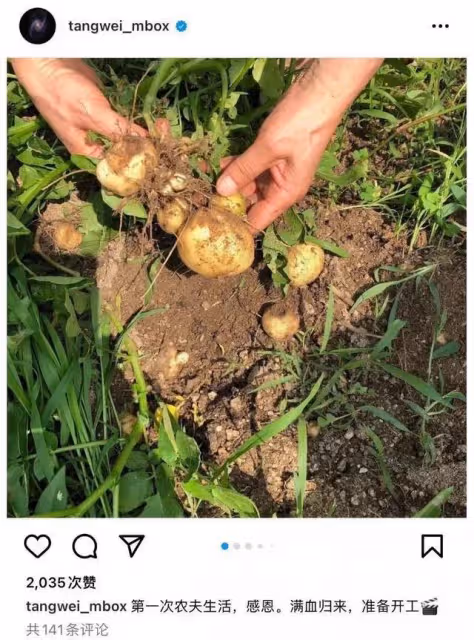 全網都在催她拿影后:娛樂圈,不需要湯唯