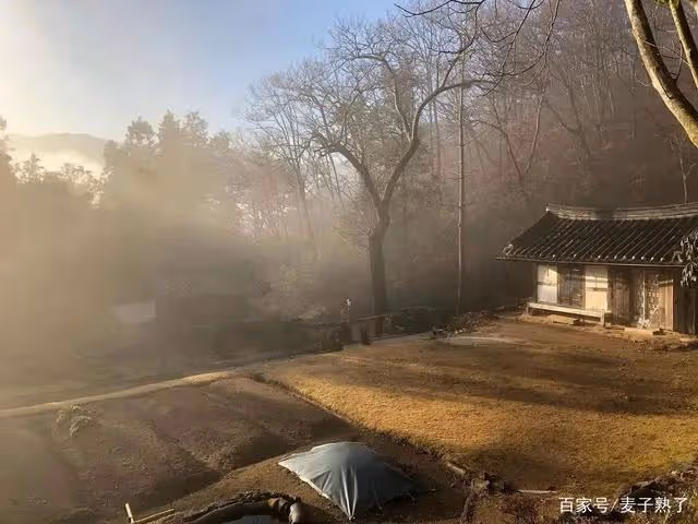 全網都在催她拿影后:娛樂圈,不需要湯唯