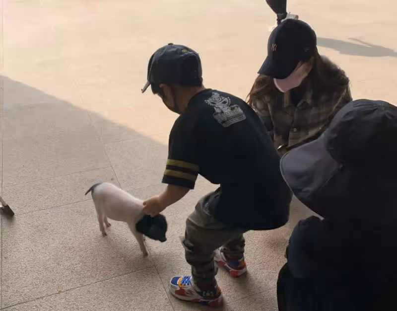 懶理前夫黃曉明緋聞!baby帶5歲兒子逛樂園,小海綿自己撐傘好乖