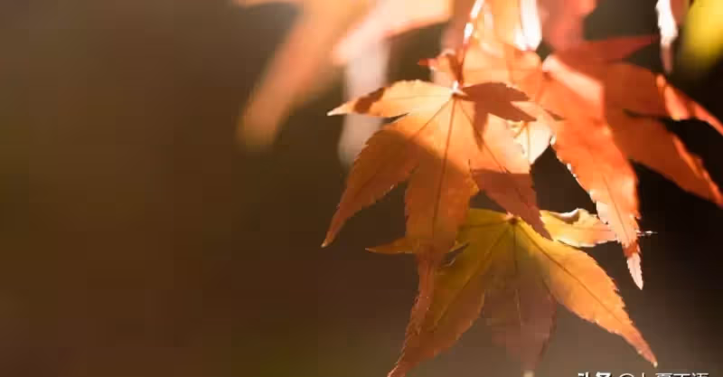 獨生女下嫁2年離婚：我爸媽花錢伺候我月子，憑啥還要伺候你爸媽