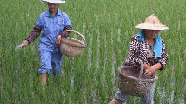 公婆想去兒子家過年,兒媳以沒房為由拒絕,兒子:讓你爸媽回去