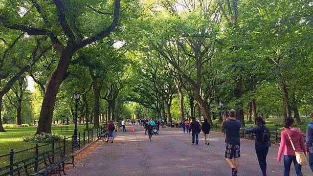 兒子想去前兒媳家過年,現兒媳鬧離婚,婆婆:兒子去吧,媽支持你