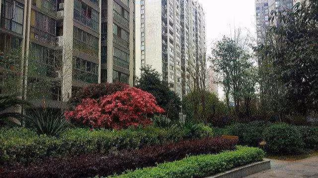兒媳給婆婆買房,婆婆把房給小叔子,兒媳:房子還給我別逼我起訴