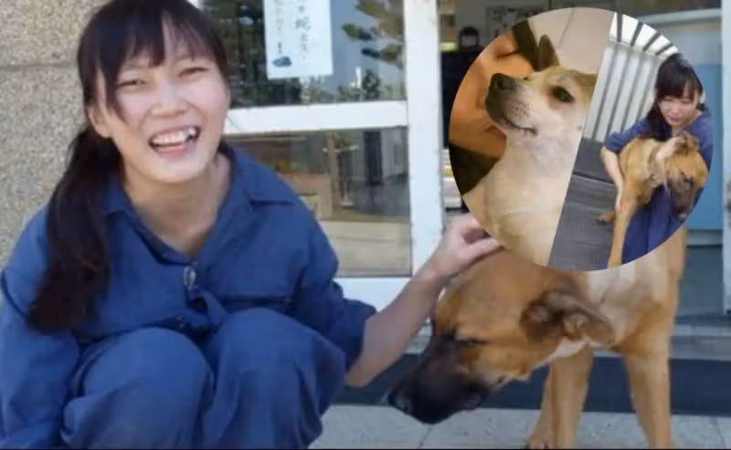 「最美收容所長」台灣女孩簡稚澄,給700隻流浪狗安樂後,被攻擊是「屠夫」卻將最後一針留給了自己