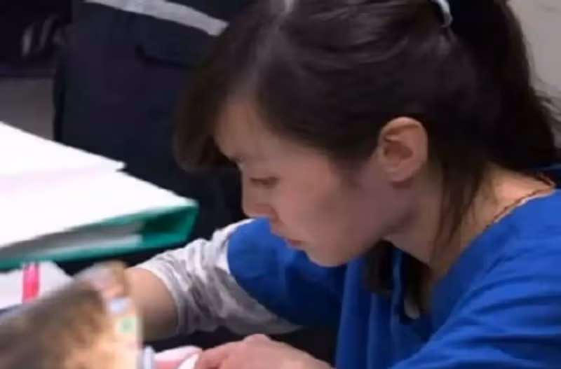 「最美收容所長」台灣女孩簡稚澄,給700隻流浪狗安樂後,被攻擊是「屠夫」卻將最後一針留給了自己