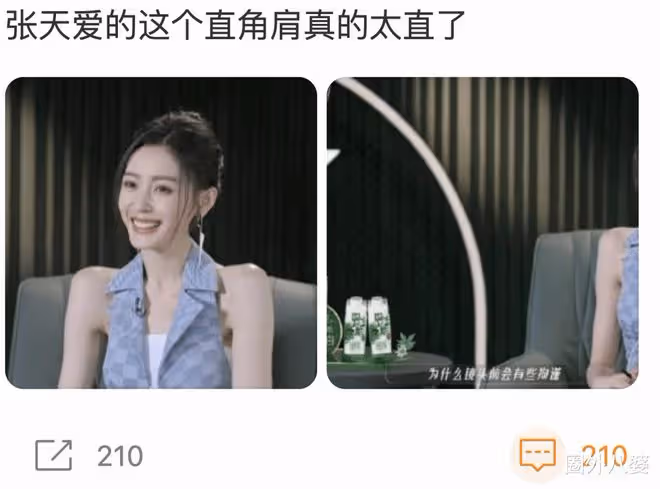 雷佳音到底在胡說什麼啊?