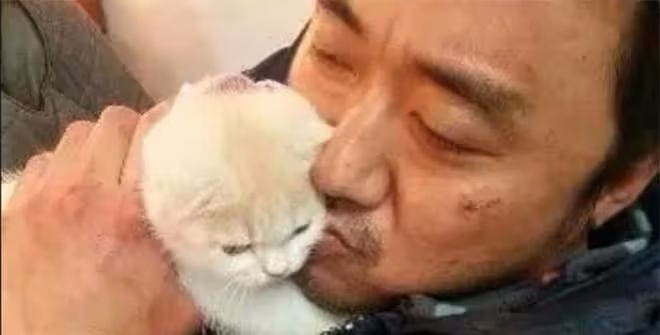 小貓咪嚇到模糊！馬東錫超壯手臂比臉還大好驚人，是亞洲巨石強森