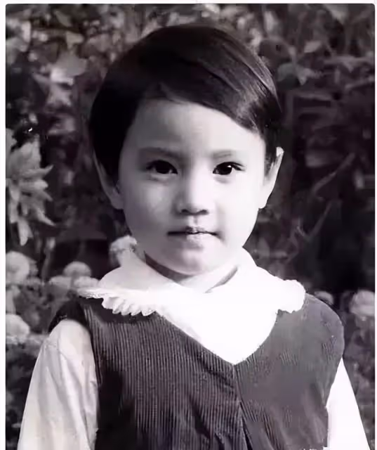 從「最美周芷若」到過氣藝人,孤身一人的周海媚,如今過得還好嗎