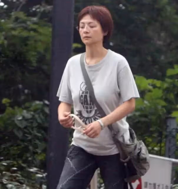 男友去世4年,55歲葉子楣斥資1.35億買房,家產豐厚養老不成問題,形象大變歲月不饒人