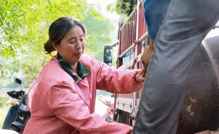 75歲老人自訴:請過保姆、去過安養中心後,才知道「晚年能依靠的」是什麼