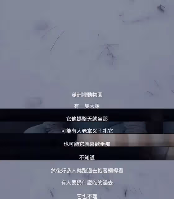 韓國導演都輸了？這些導演將是新一代的張藝謀，李安和侯孝賢