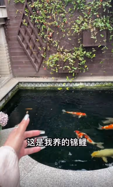 台灣歌手千百惠定居成都！千萬豪宅曝光，花園養錦鯉，裝修似宮殿