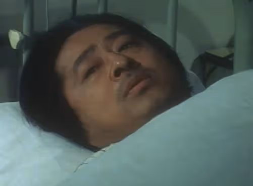 47年前日本經典電視劇《血疑》演員近況