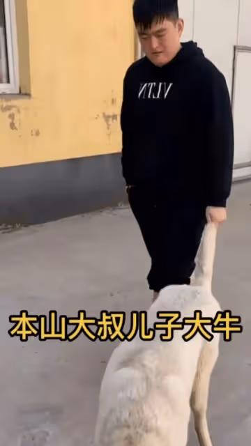 離破產不遠了,趙本山兒子買手串頂北京一套房,被罵敗家怒懟網友