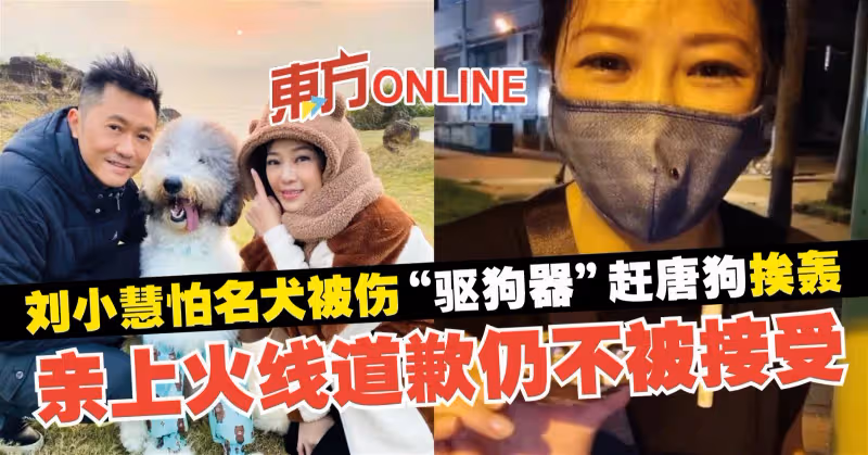 劉小慧怕名犬被傷「驅狗器」趕唐狗挨轟　親上火線道歉仍不被接受