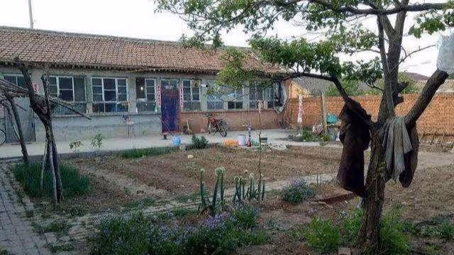 第一次去男友家,男友母親居然讓我吃泡麵,我給了男友一巴掌