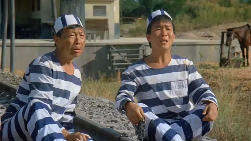 林正英師弟,長相神似元彪,與羅芙洛有過一段感情,如今卻被遺忘