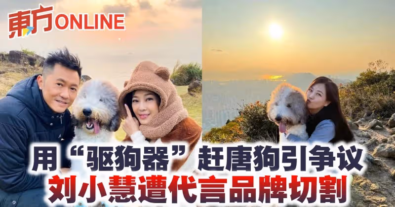 用「驅狗器」趕唐狗引爭議　劉小慧遭代言品牌切割