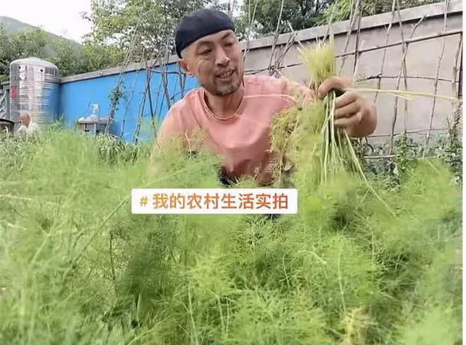 50歲實力演員在農村生活！下地幹活喂雞不修邊幅，日常騎摩托出行