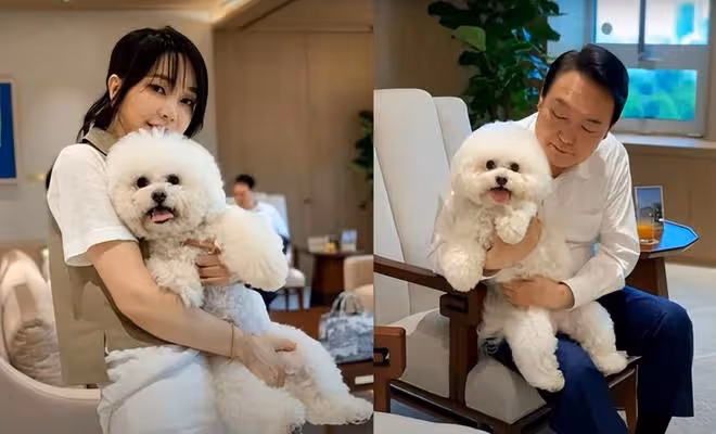 「頂流」韓國第一夫人雨中營業!尹錫悅幫她穿雨衣,少女臉太美了