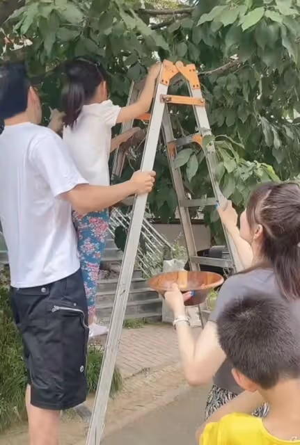 黃征在自家豪宅花園摘櫻桃！一雙兒女罕露面，妻子白得發光身材佳