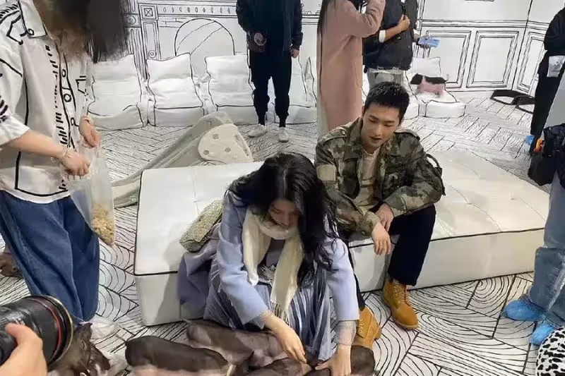 無榮耀不楊洋是真的!管他甜寵軍旅還是電競,《榮耀》三部曲全部紅到海外去!|陸劇推薦