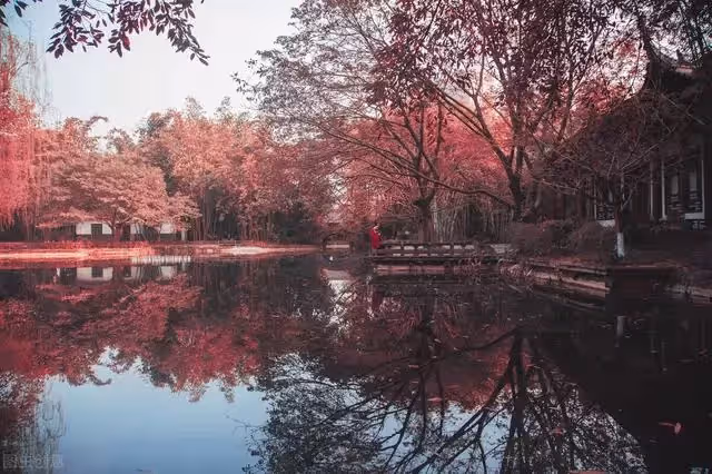 兒子與母親聯手欺負遠嫁女 ,後母親摔跤,要人伺候,女兒:我媽沒義務