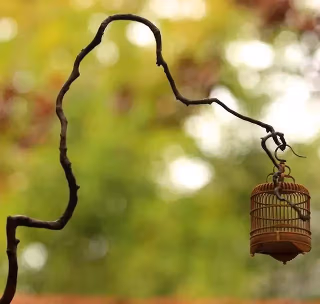 紅塵來去一場夢！人到六十才「明白」　身邊四個人「走了之後」心就空了