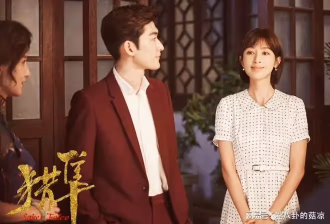 新諜戰劇將至,張翰、張儷、張萌、王瀧正主演,陣容驚喜不斷