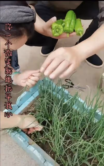 付笛生體驗農家生活,摘菜燒柴做大鍋飯,任靜戴玉鐲甜笑似少女