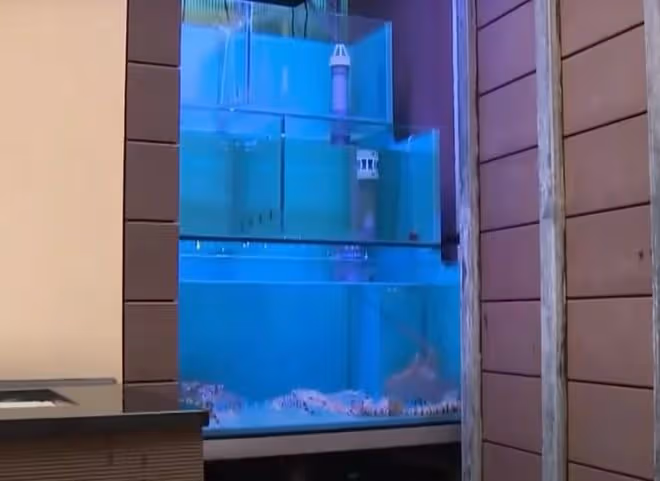 37歲港姐徐淑敏近況,連生3女身材仍出眾,將為富豪老公追生四胎