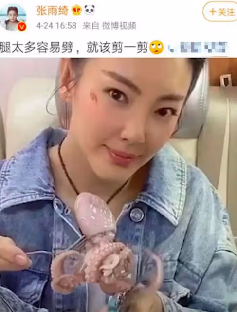 說男性是泰迪熊,詆毀戰狼,煽動男女對立,張雨綺怎麼就這麼仇男